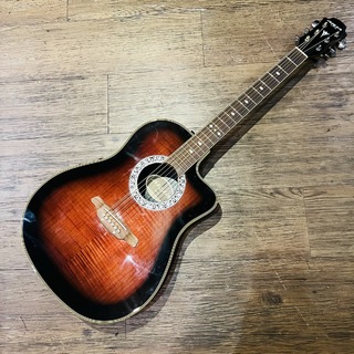 アコースティックギター／エレクトリック・アコースティックギター