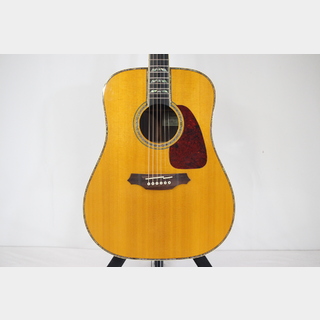 Takamine SAD27