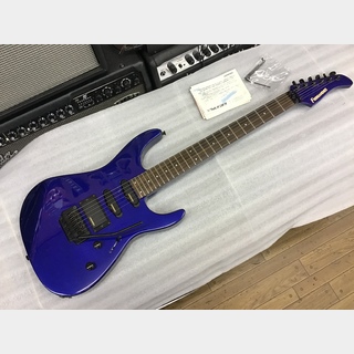 エレキギター、FERNANDESの検索結果【楽器検索デジマート】