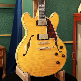 D'Angelico サマーセール Excel DC, Vintage Natural