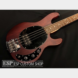 Sterling by MUSIC MAN Ray4 Walnut Satin