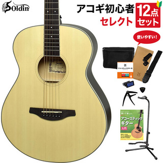 Soldin SFG-15 NAS アコースティックギター 教本付きセレクト12点セット 初心者セット OOOサイズ サテン塗装