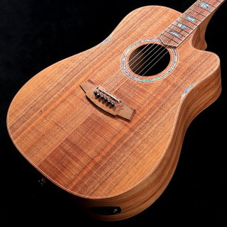 Cole Clark FL Dreadnought CCFL3EC-BLBL-AE【渋谷店】