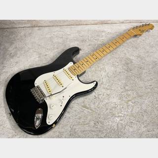 エレクトリックギター、FUJIGEN(FGN)の検索結果【楽器検索