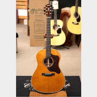 アコースティックギター／エレクトリック・アコースティックギター