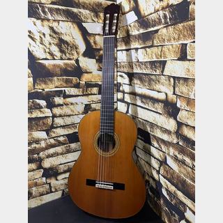 YAMAHA ヤマハ Model:GC22C【日本総本店2F 在庫品】