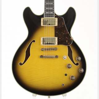 エレクトリックギター ＞ セミアコ、Ibanezの検索結果【楽器検索