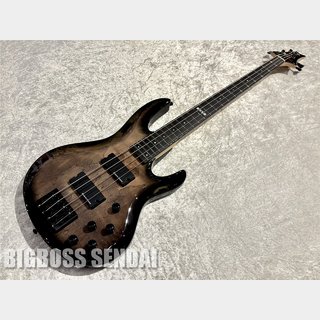 E-IIBTL-4 / Black Natural Burst