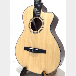 Taylor 312ce-N