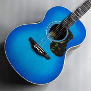 James J-300A II Earth Blue アコースティックギター トップ単板 アジャスタブルサドル 簡単弦高調整J-300AII