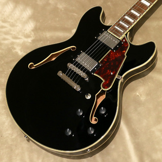 D'Angelico Premier DC, Black