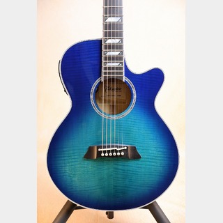 エレクトリック・アコースティックギターの検索結果【楽器検索デジマート】