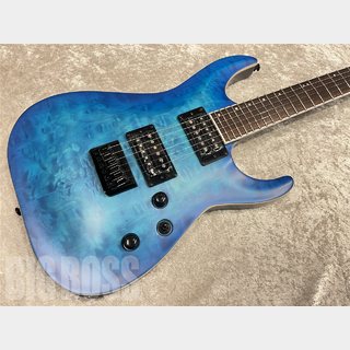 GrassRoots G-HORIZON-FX【See Thru Blue Sunburst Satin】