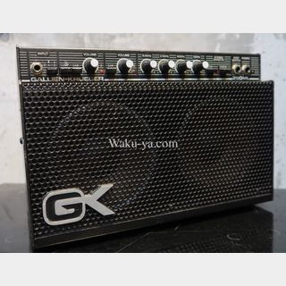 GALLIEN-KRUEGER  250 -ML 