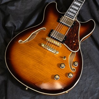 エレクトリックギター ＞ セミアコ、Ibanezの検索結果【楽器検索