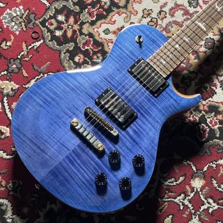 Paul Reed Smith(PRS) SE McCARTY 594【USED】【3.71kg】