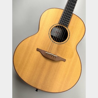 アコースティックギター、Morris、MG-100STの検索結果【楽器検索