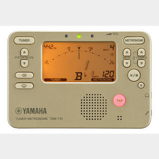 YAMAHA TDM-710GL