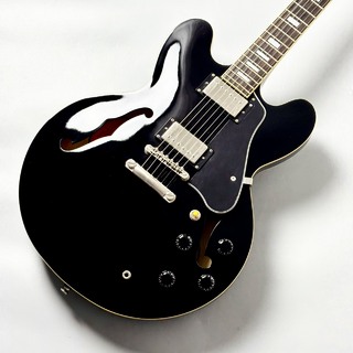 エレクトリックギター ＞ セミアコ、Epiphone、DOTの検索結果【楽器