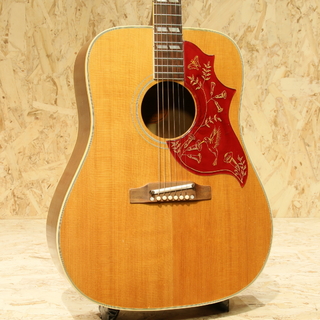 Gibson Hummingbird NT