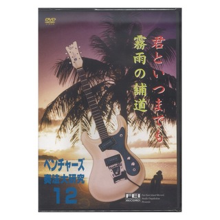 千野FEIベンチャーズ奏法大研究 Vol.12/DVD