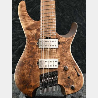 Ibanez QX527PB -ABS (Antique Brown Stained)- 【7弦モデル】【軽量2.21kg!】