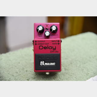 BOSS DM-2W Delay