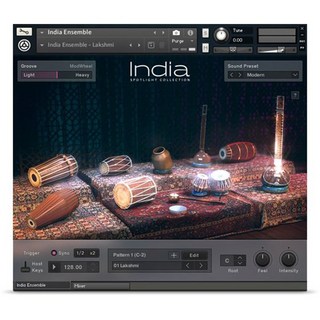 NATIVE INSTRUMENTSSPOTLIGHT COLLECTION: INDIA (オンライン納品)(代引不可)