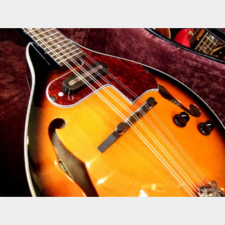 マンドリンの検索結果【楽器検索デジマート】