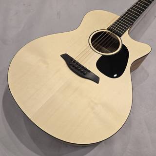 アコースティックギター／エレクトリック・アコースティックギター