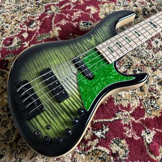 AST Basses and Guitars vintage Green Label5