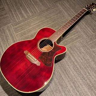 Takamine DMP551C/DC