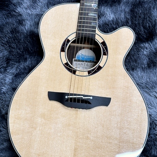 Takamine DSF48C -World Standard Series-【希少入荷!】【2025年製】【日本製】【エレアコ】