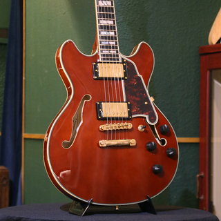 D'Angelico 【アウトレットセール】【ストラッププレゼントキャンペーン】Excel Mini DC, Viola