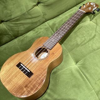 COTONE CS5C NAT コンサートウクレレスタンダードシリーズ