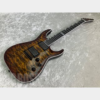 E-II HORIZON NT-II (Tiger Eye Sunburst)