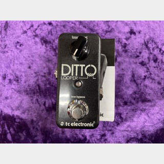 tc electronic Ditto Looper