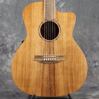 アコースティックギター／エレクトリック・アコースティックギター