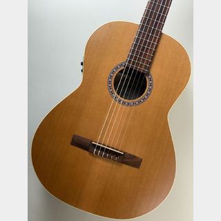クラシック・ギター／フラメンコ・ギター【楽器検索デジマート】
