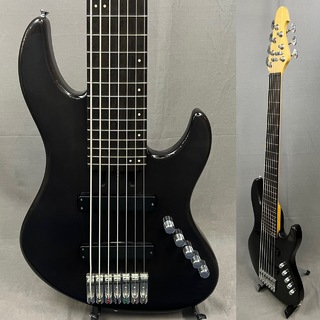 7 String Bass Project 7 String Bass