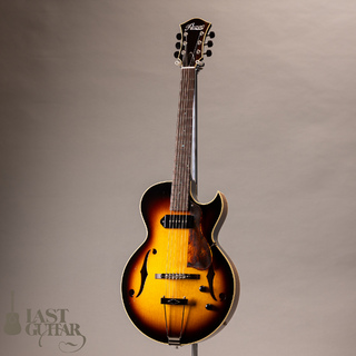 VG VG-SCM ローズウッド エレアコ VG-03 Mahogany | dct2019