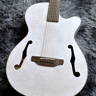 エレクトリック・アコースティックギター、ARIAの検索結果【楽器検索