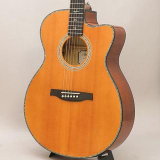 アコースティックギター／エレクトリック・アコースティックギター
