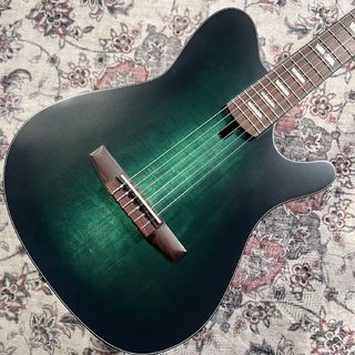 エレガットギターの検索結果【楽器検索デジマート】