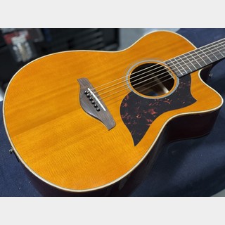 YAMAHA 【即発送・展示品特価】AC1M VN