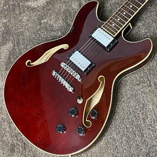 IbanezAS73-TCR