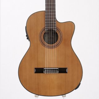 ネ*コ様 ARIA エレアコギター　FET-STDBS 美品　1931-02-1 ARIA FET-F2 Stained Brown エレアコギター Fホール（新品/送料