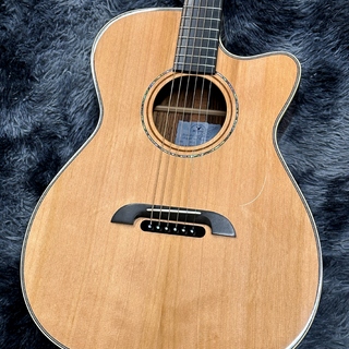 K.Yairi (Alvarez Yairi) WY-1 N -Electric Acoustic Series-【2025年製】【日本製】【エレアコ】