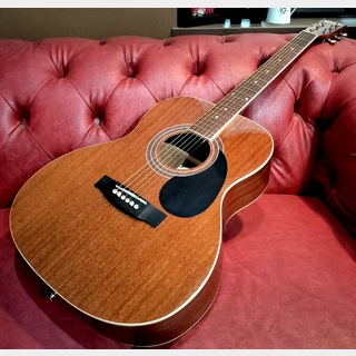 Sepia Crueの検索結果【楽器検索デジマート】