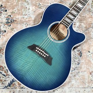 Takamine TSP178AC【現物画像】